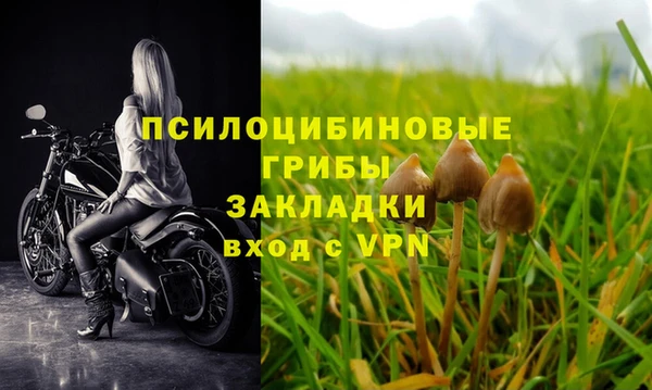 кокаин колумбия Богданович