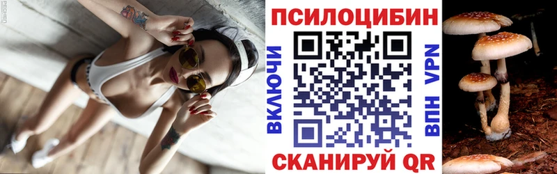 Галлюциногенные грибы Psilocybe  наркотики  Новороссийск 